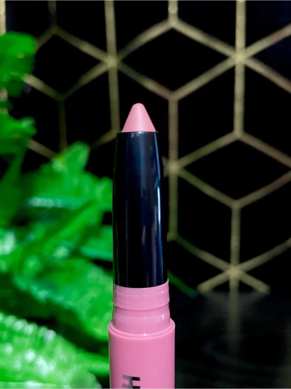 Haus Labs By Lady Gaga Lip Crayon — Light Peony Matte